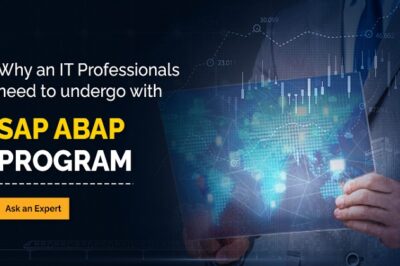 How to Become a Pro Sap ABAP Developer?