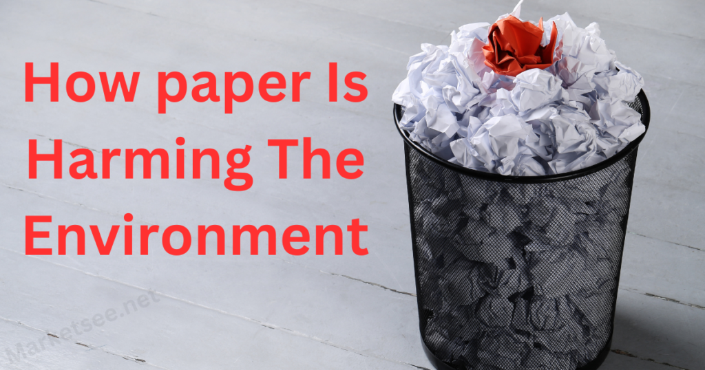 How paper Is Harming The Environment