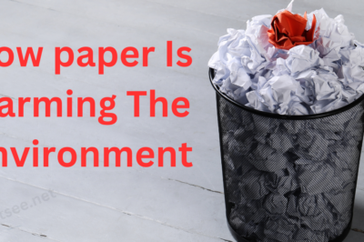 How paper is Harming the Environment